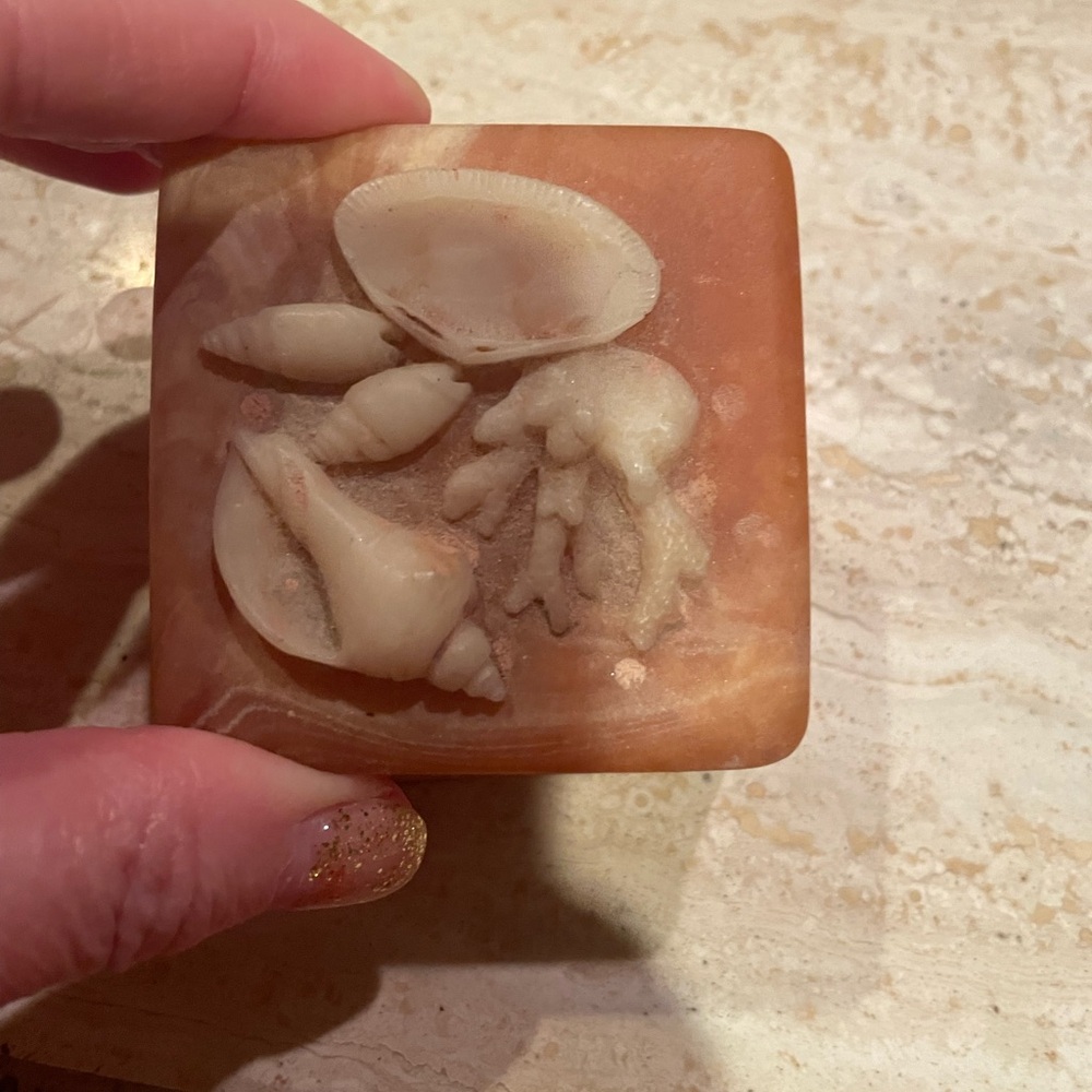 Vintage small Seashell decorative box